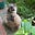 Cat's avatar