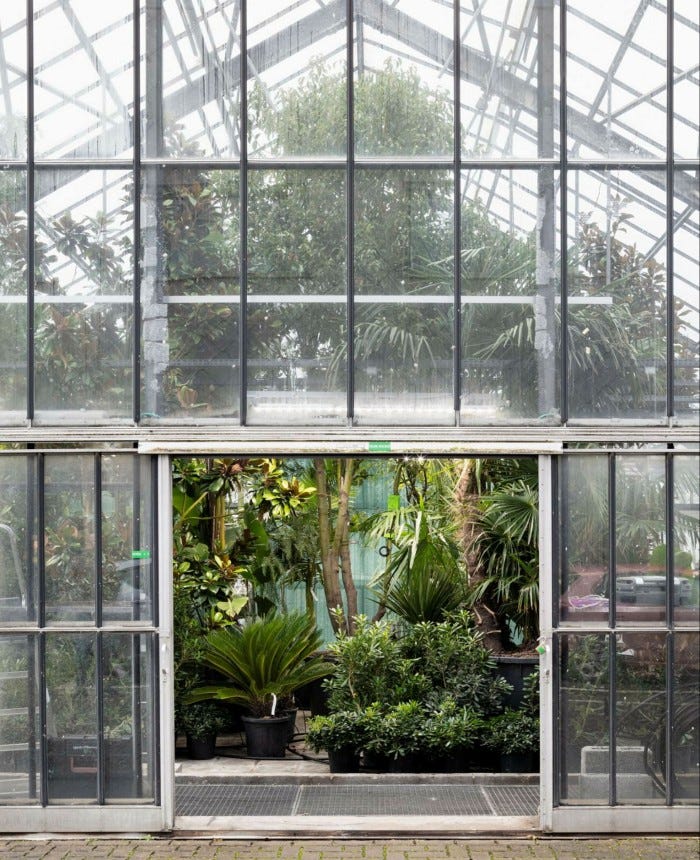 View of a greenhouse from the outside, with dozens of varieties of plants and trees visible through an open door and through the glass walls