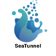 Apache SeaTunnel's avatar