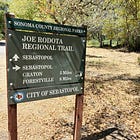 Massive brush clearing effort along the Joe Rodota Trail