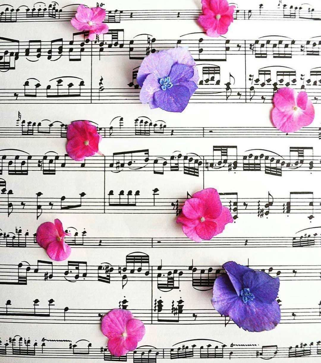 May be an image of musical instrument May be an image of musical instrument