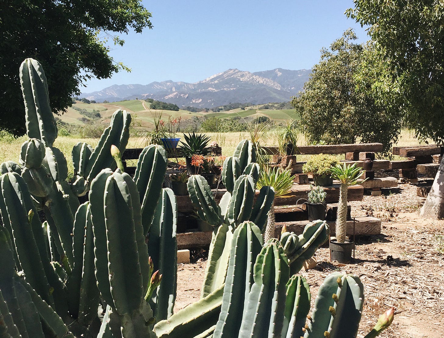The Ojai Guide The Ojai Guide