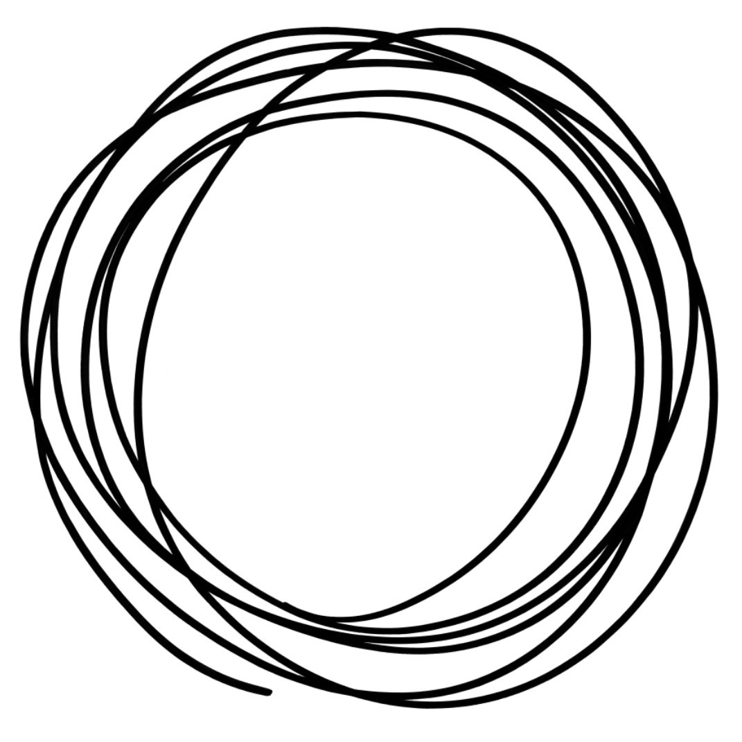 GO TO N.SASHAFREREJONES.COM logo