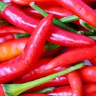 Cayenne for Higher Metabolism + Our Picks