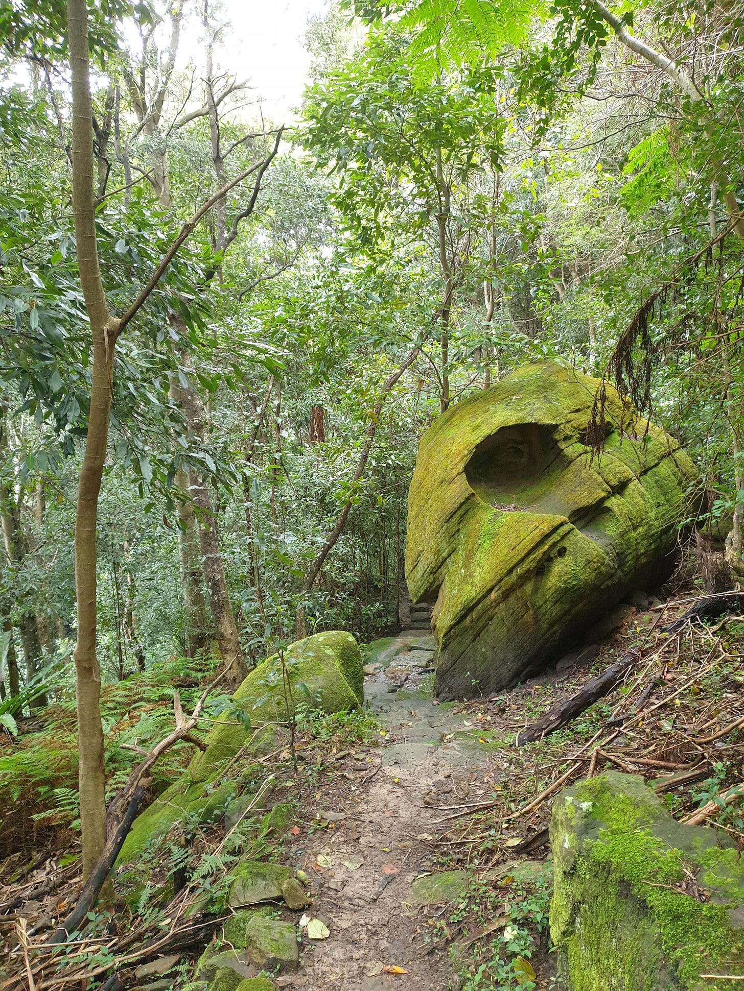 I found this 'Division Bell'-lookin mofo in a creek in Castlecrag, NSW