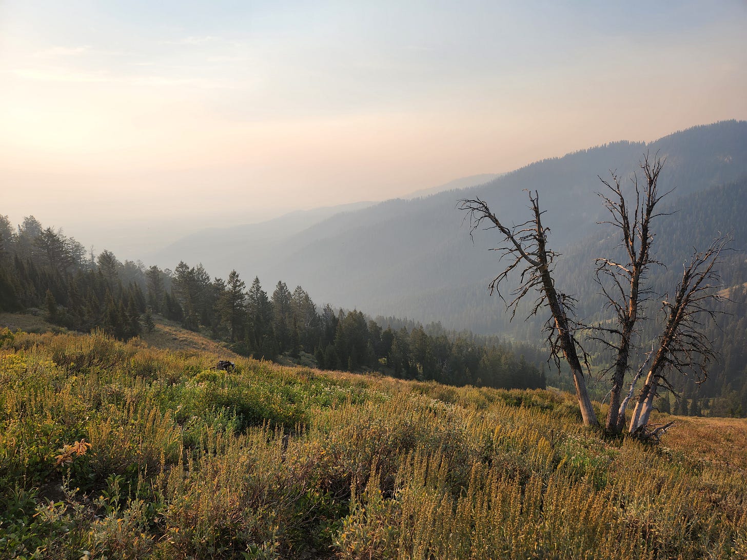 landscape photo near Jackson Wyoming landscape photo near Jackson Wyoming