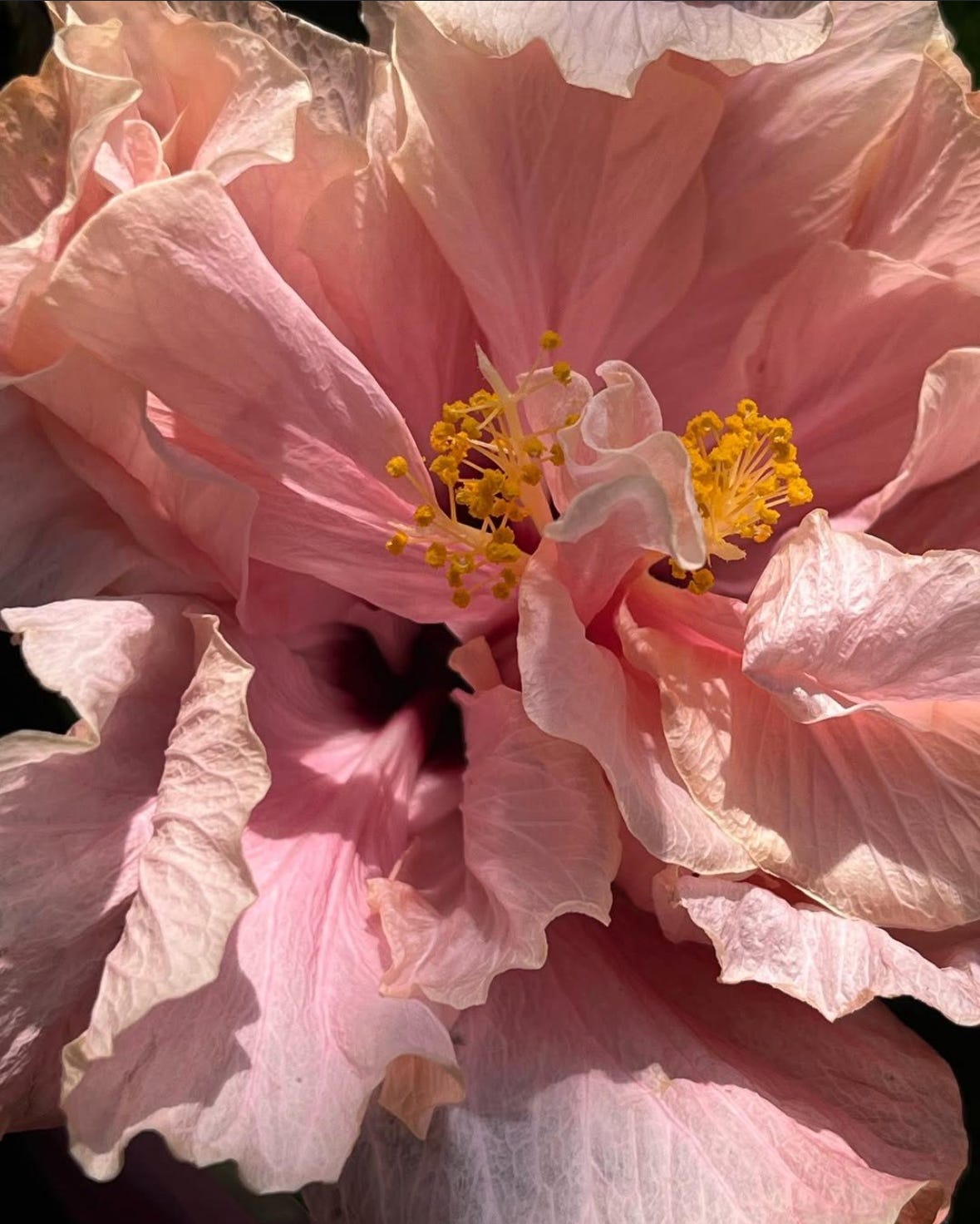 qotd, rumi, sahil bloom, jay shetty, on purpose, feel better, inspirational quotes, book recs, best books, goodreads, humor, iamthirtyaf, illustrations, mental wellness, friends, positivity, confidence, nice news, art, line drawings, linear theory, inspirational quotes, new yorker, poetry, universe, life advice, career, success, positive news, c magazine, ad magazine