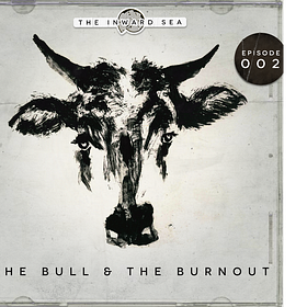 The Bull and the Burnout