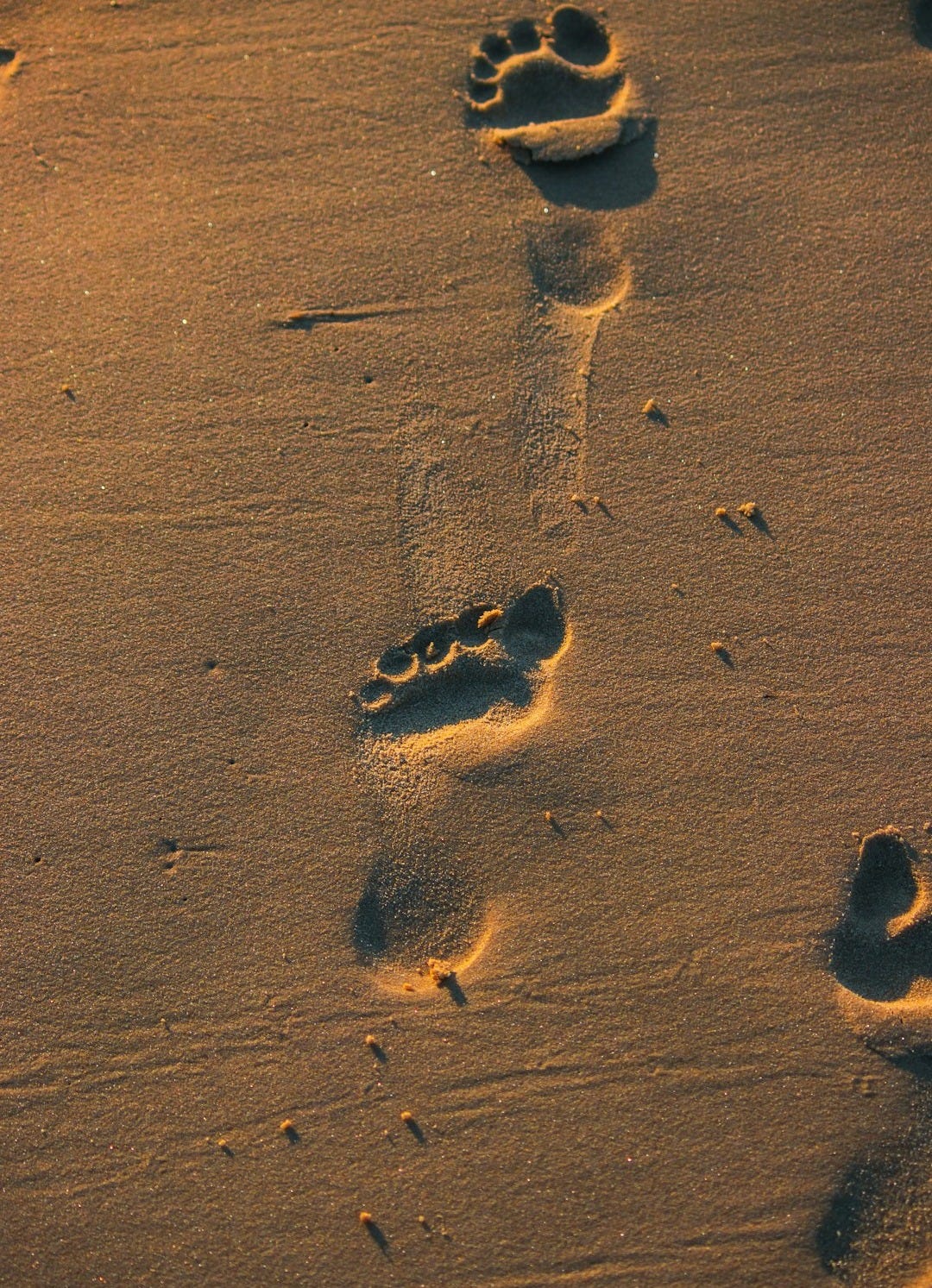 white sand
