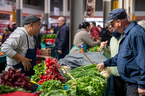 Această galerie se oprește asupra oamenilor din piață: vânzători, legumicultori, femei și bărbați pentru care taraba nu este doar loc de lucru, ci rezultatul unei munci duse luni întregi. Ridurile, privirile, gesturile și răbdarea lor spun o poveste despre efort, continuitate și legătura directă dintre pământ și oraș.