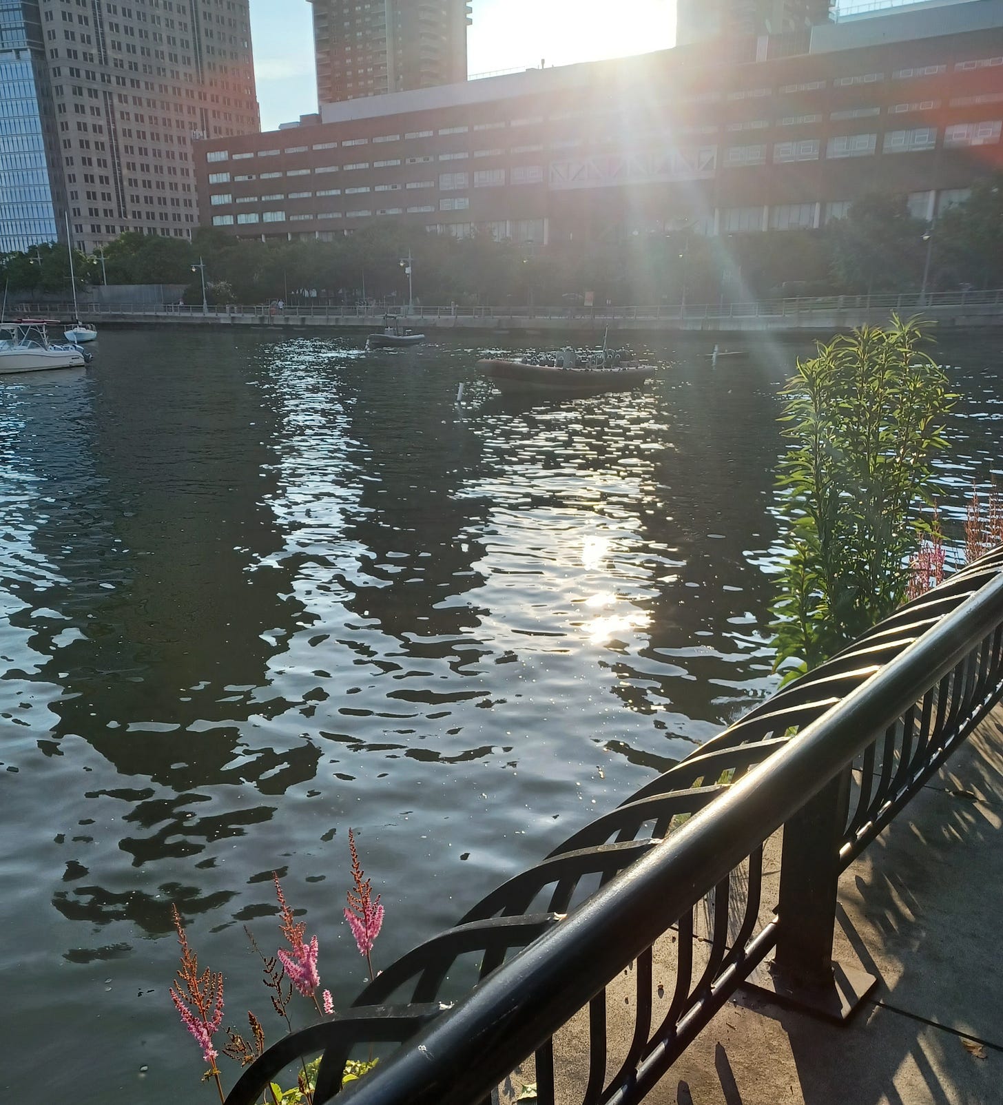 Battery Park City, New York City, summer 2023