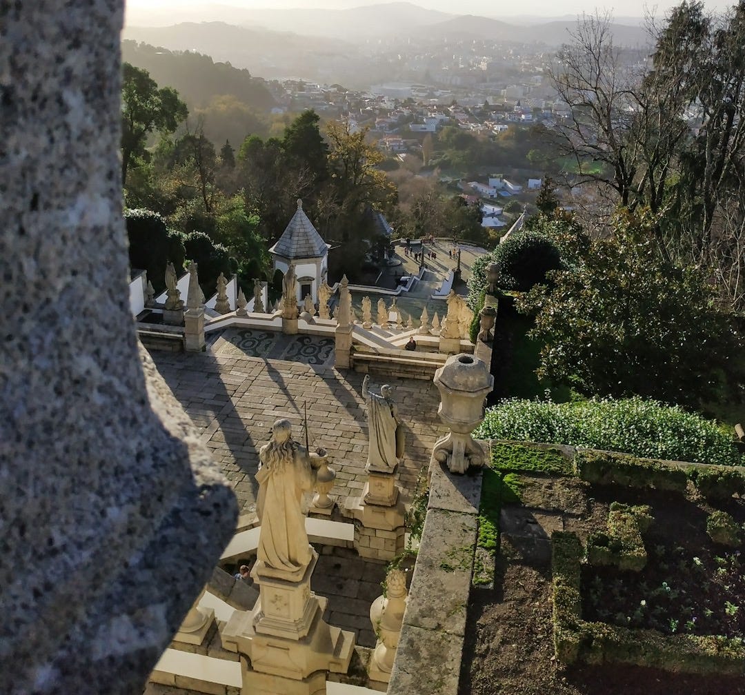 tree near stairs at daytiem