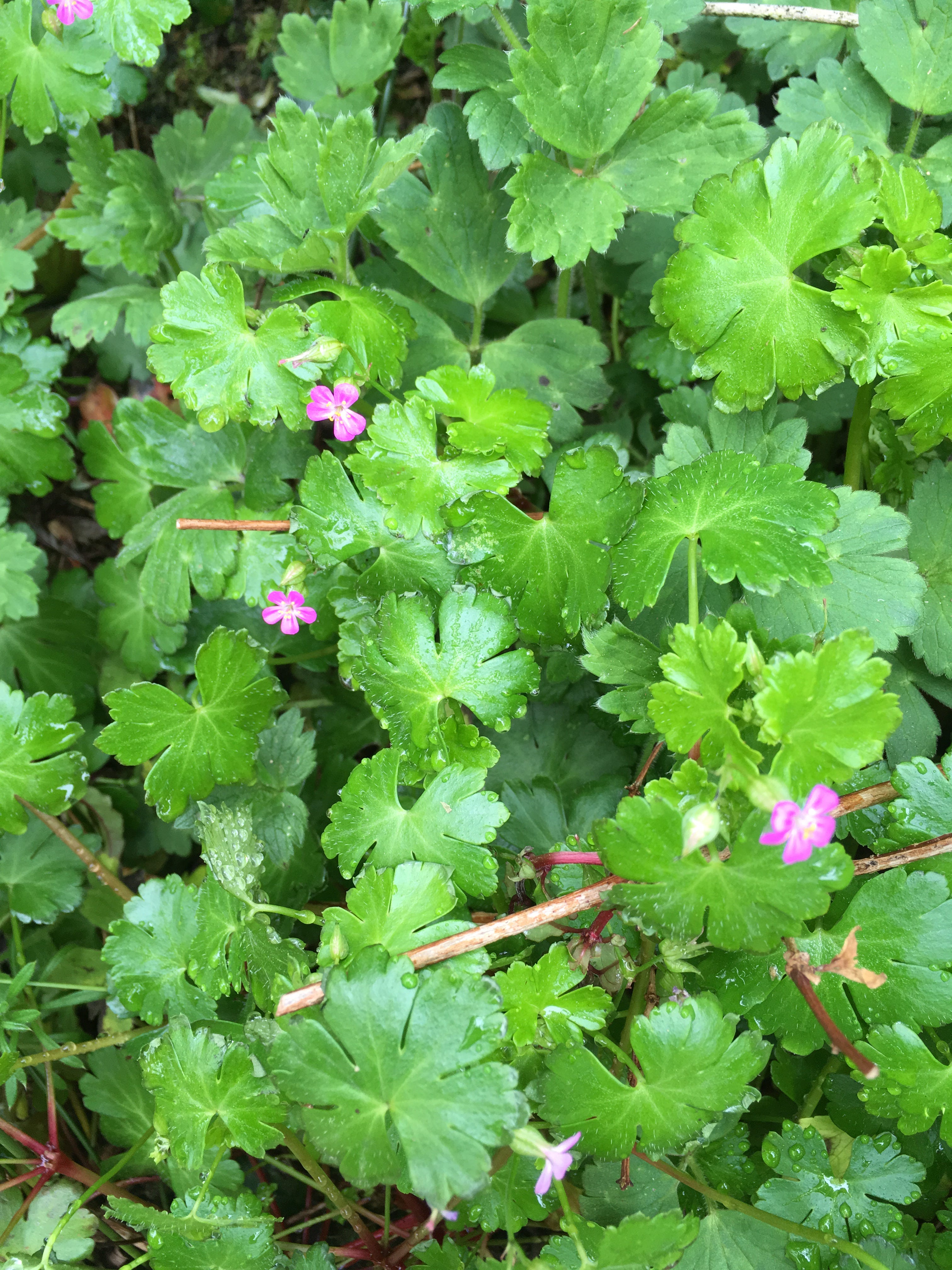 Helena Holiday MADE Fair | Visit Helena, Montana, image size:3024x4032