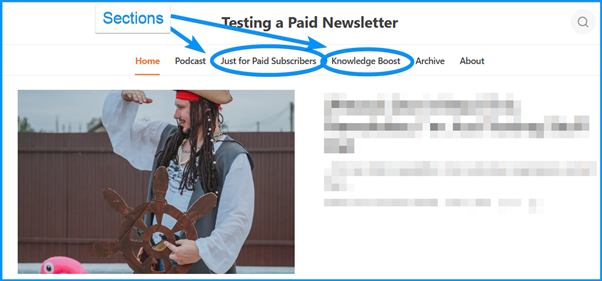 Substack Sections Explained - by Karen Cherry