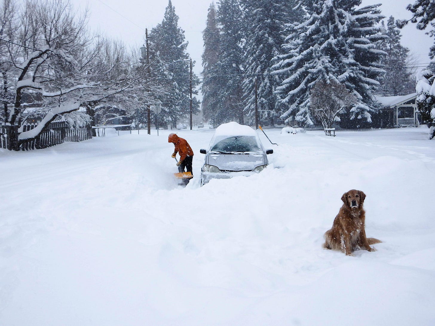 Record-Breaking Snow In Central Oregon; Eugene Sees 8.5 Inches - OPB