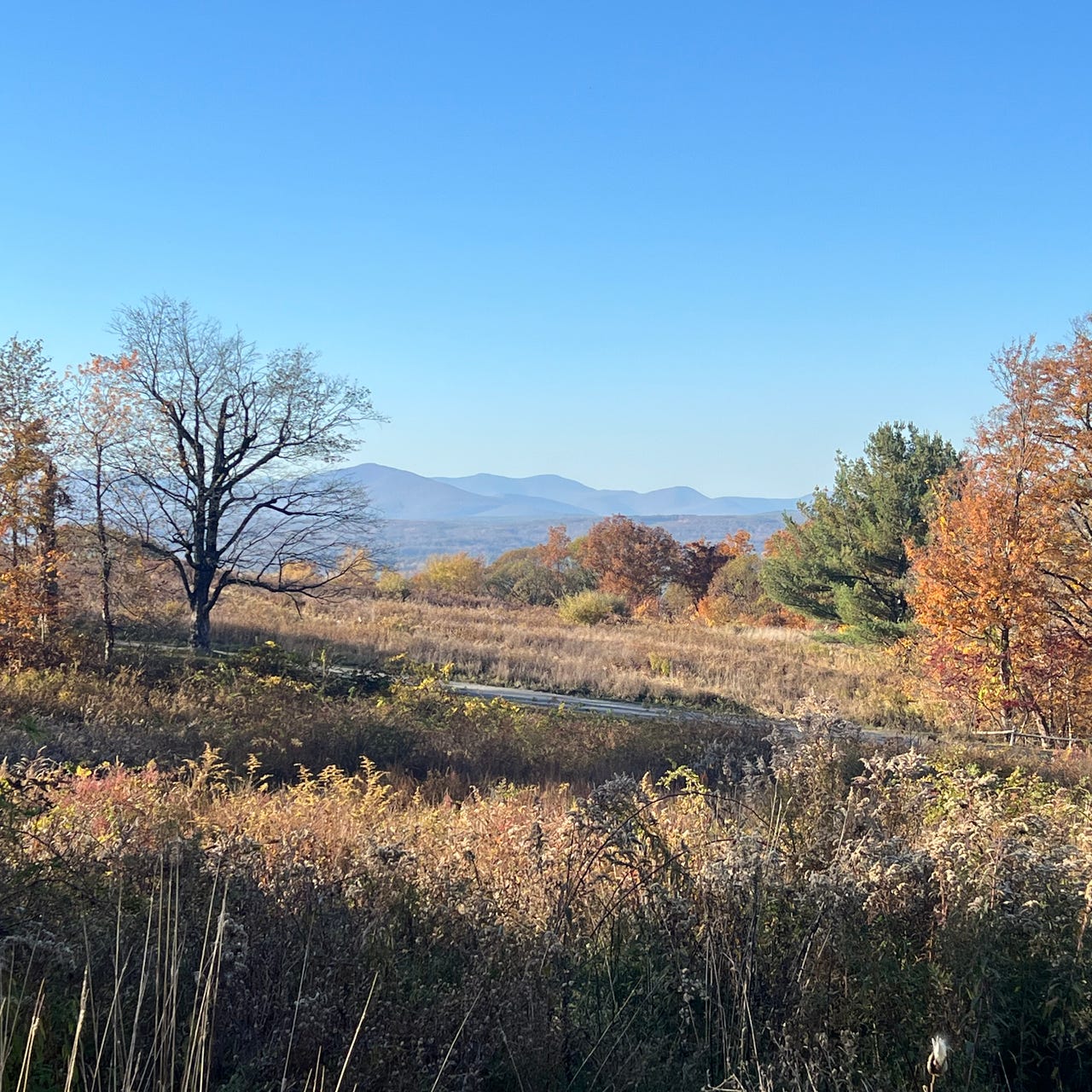 A Guide to Knowing Yourself