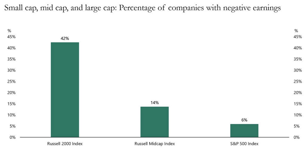 Small and Mid Cap Negative Earnings Small and Mid Cap Negative Earnings