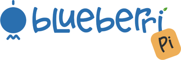Blueberri Pi