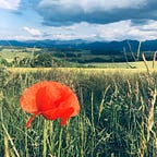 Kateřina Love - Zlatá Transformace