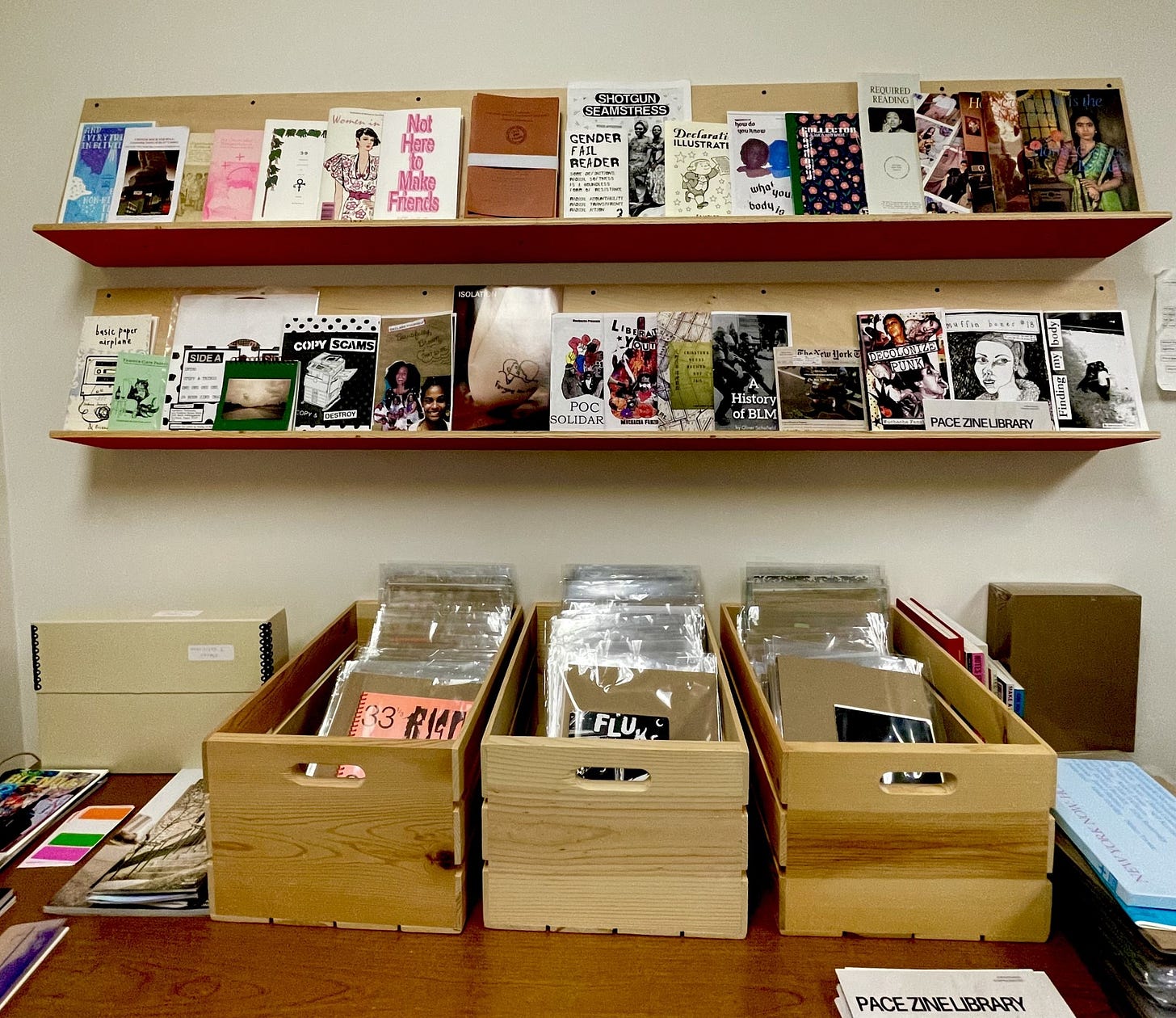 A library display featuring two wall-mounted shelves filled with colorful zines and four wooden boxes below containing individually bagged zines. A small sign on the lower shelf reads "PACE ZINE LIBRARY." The collection includes titles on race, gender, activism, and identity.