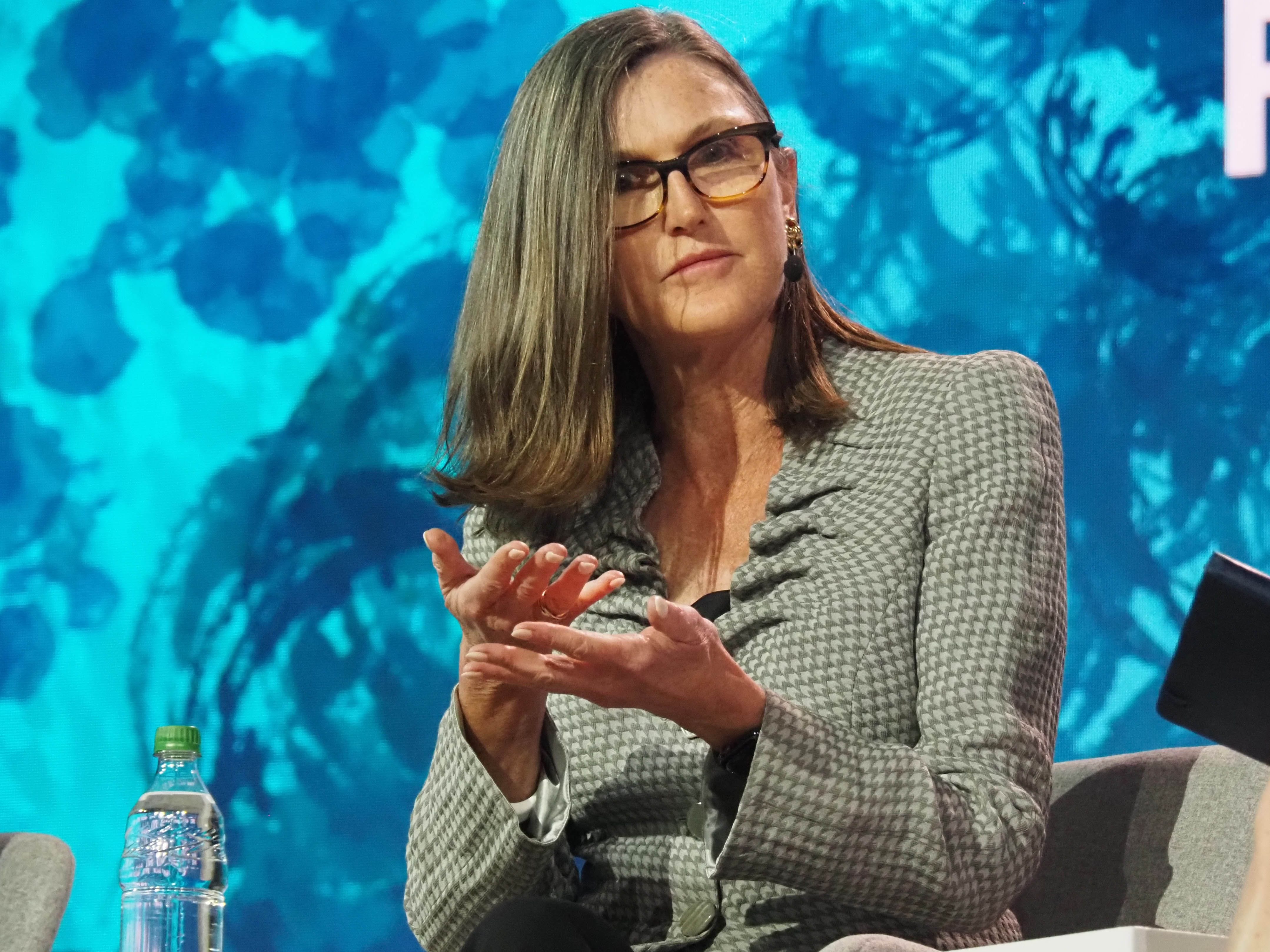 細行報告—— Cathie Wood與ARK Invest的2025年- by Kenji San