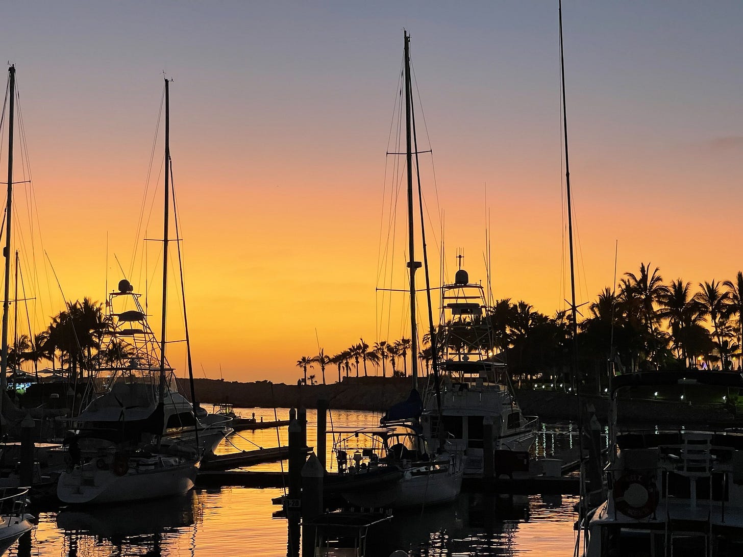 Marina El Cid at sunset