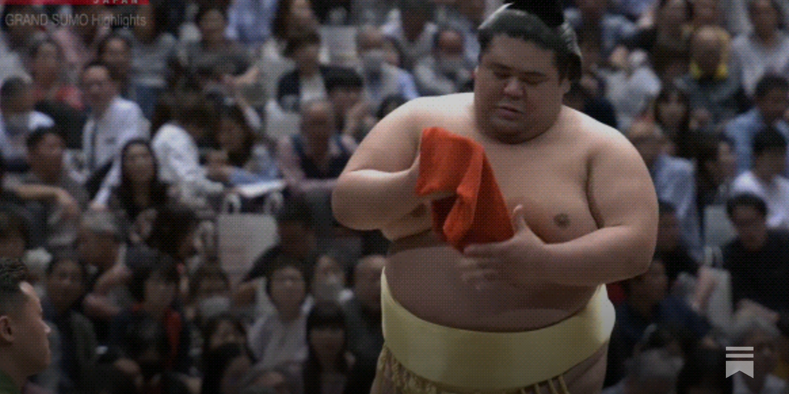 SUMO　STOMP/SUMO　COMP Sumo Stomp! | Tim Bissell | Substack