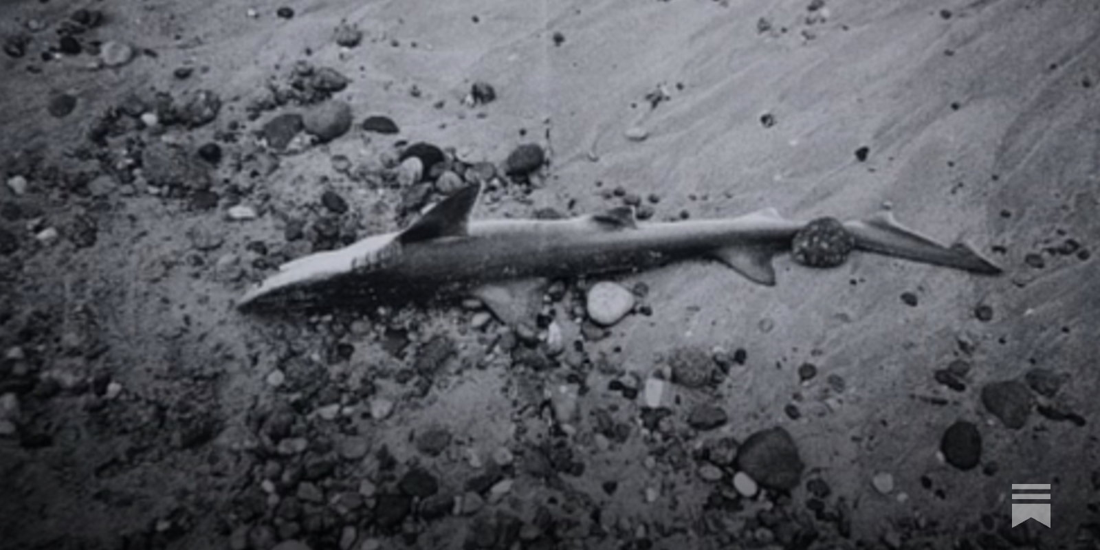 A Conversation with Photographer and Artist Ari Marcopoulos
