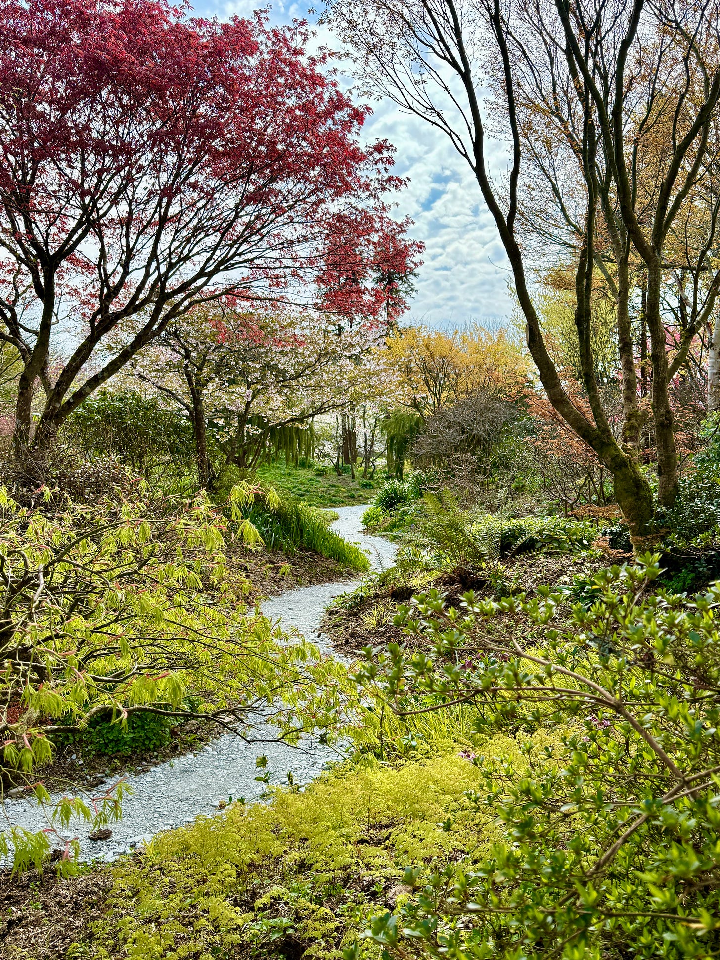 A curving path through the hillocks created by Keith Wiley at Wildside