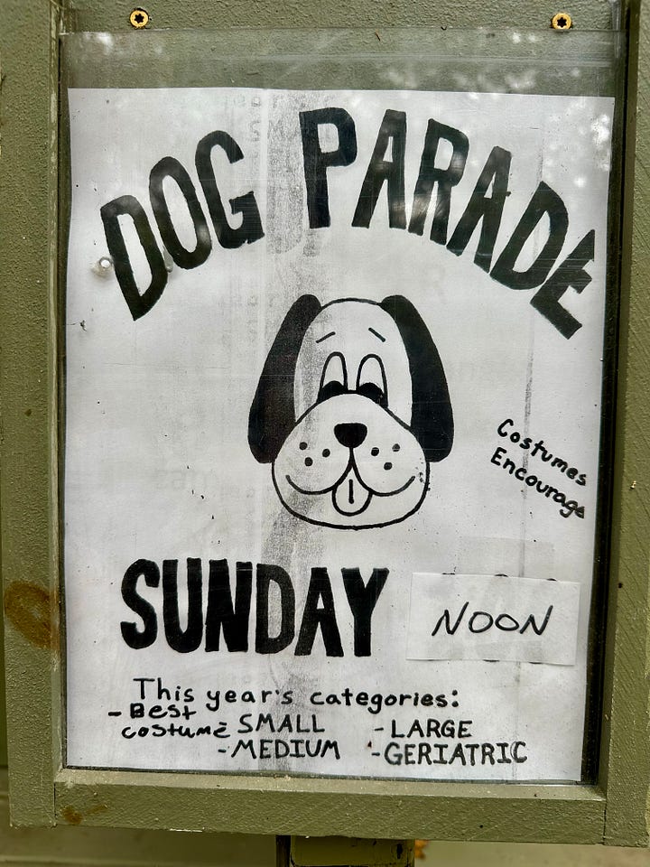Dog Parade poster; Baxter in UPS costume and Laney in lion costume