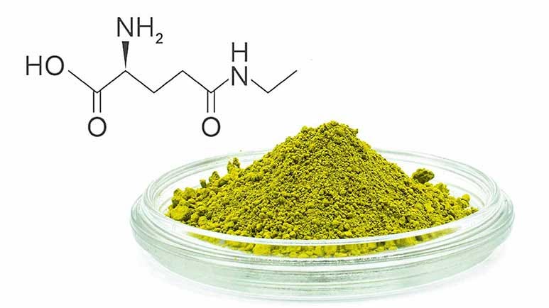 theanine in tea