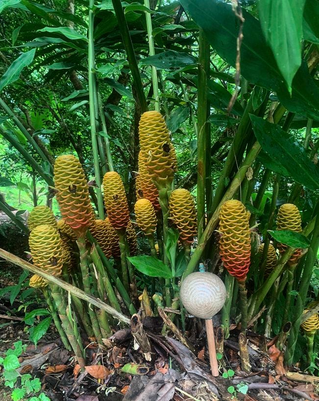 No description available. No description available.