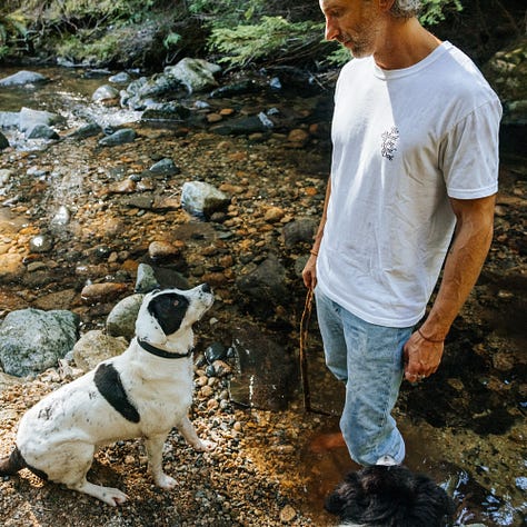 awkward man frolics around stream with dogs wearing very nice merch from be more like your dog