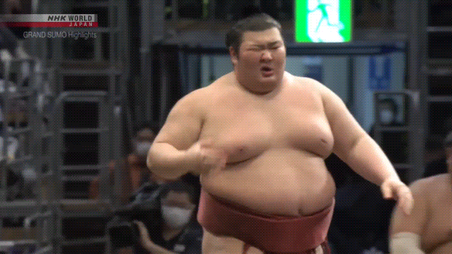 Sumo Stomp! | Tim Bissell | Substack