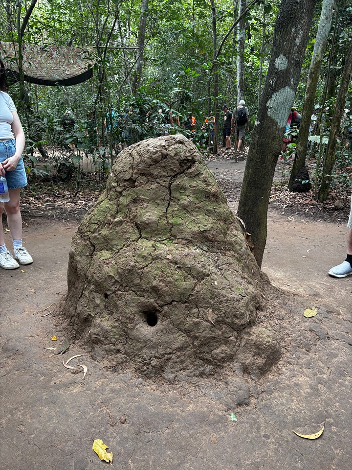 Tunnels have been expanded (so they were smaller than these) for tourism purposes. The larger entrances were for groups of people to enter the tunnels at once.