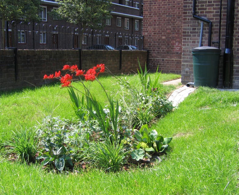 #95 Jardines de lluvia - by Andrés Martínez