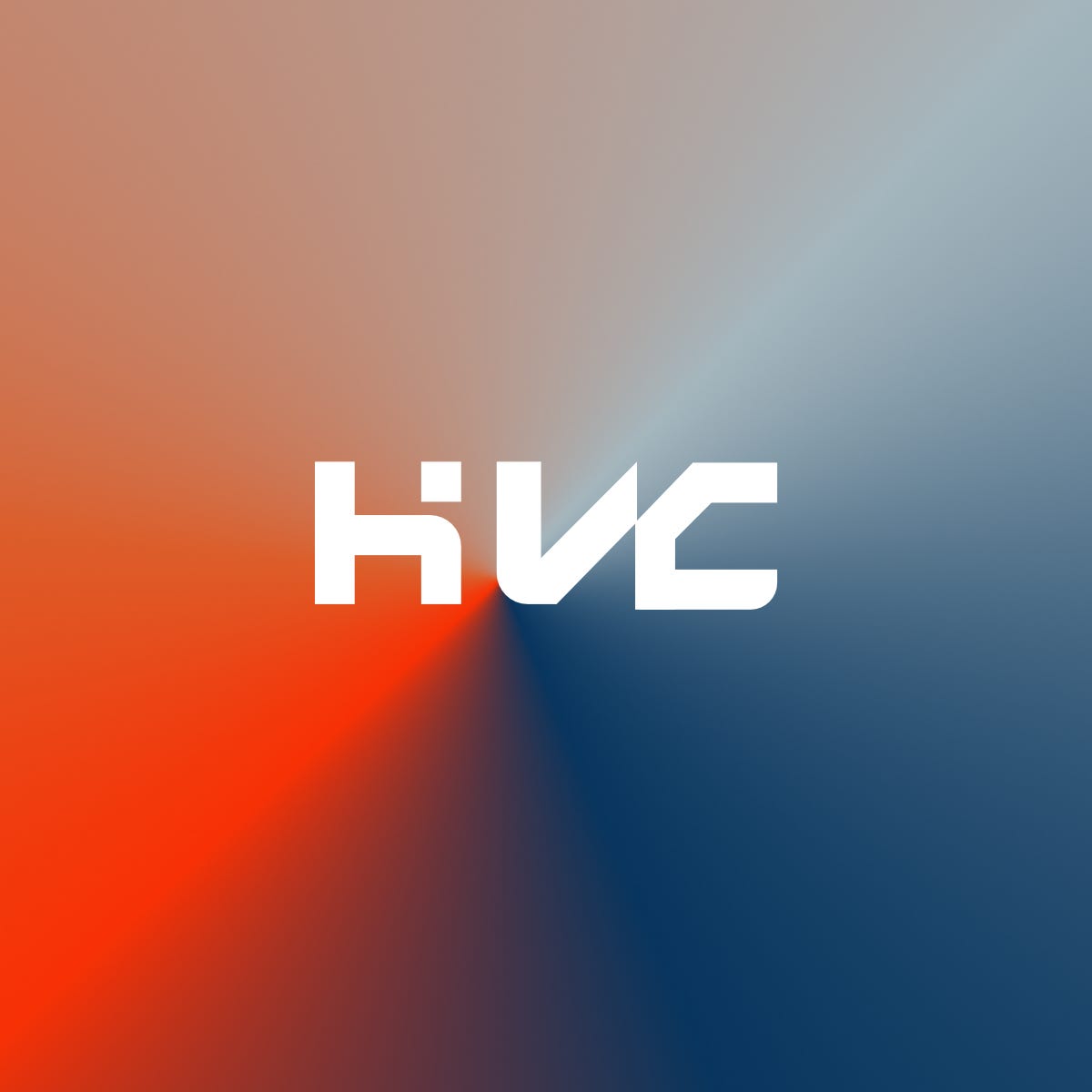 Homeostasis VC's Substack