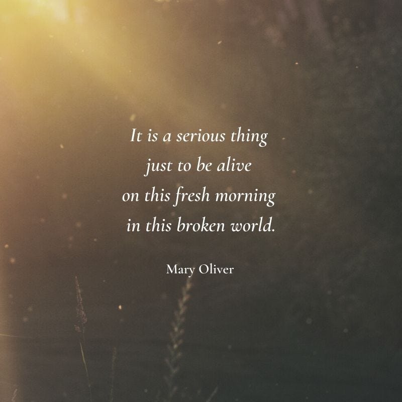 Sr Stan on X: "It is a serious thing just to be alive on this fresh morning  in this broken world ~ Mary Oliver #maryoliver https://t.co/yZazuZEE0g" / X