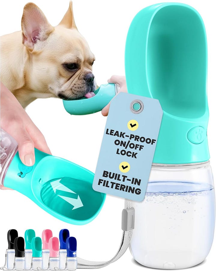 Keep Your Dog Cool This Summer!