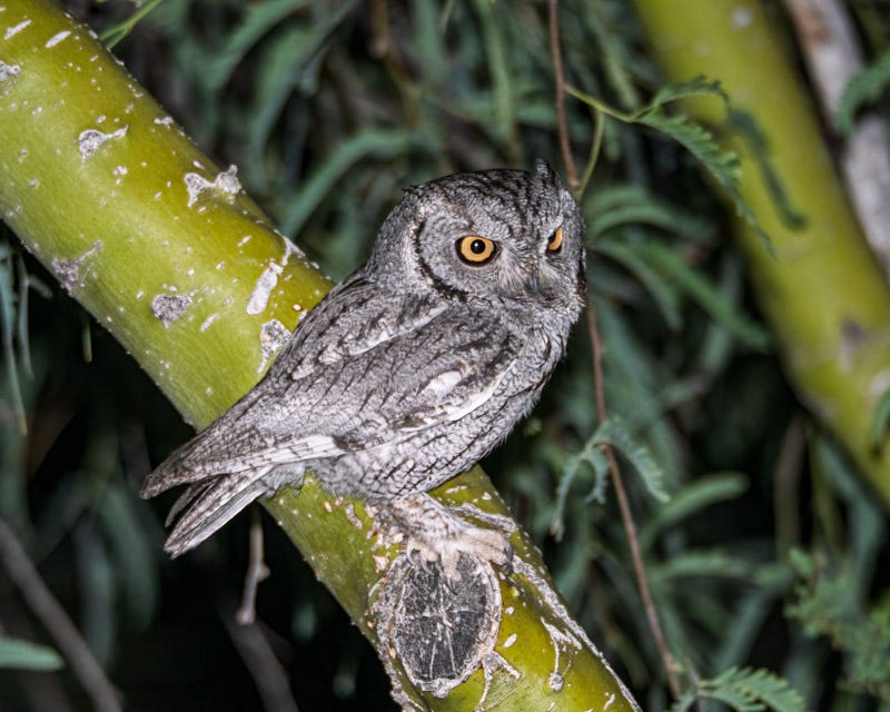 20260406-Sweetwater-4-Edit.jpg 20260406-Sweetwater-4-Edit.jpg