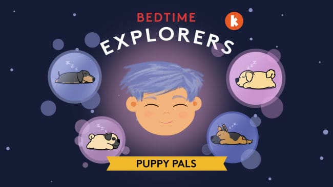 puppy pals puppy pals