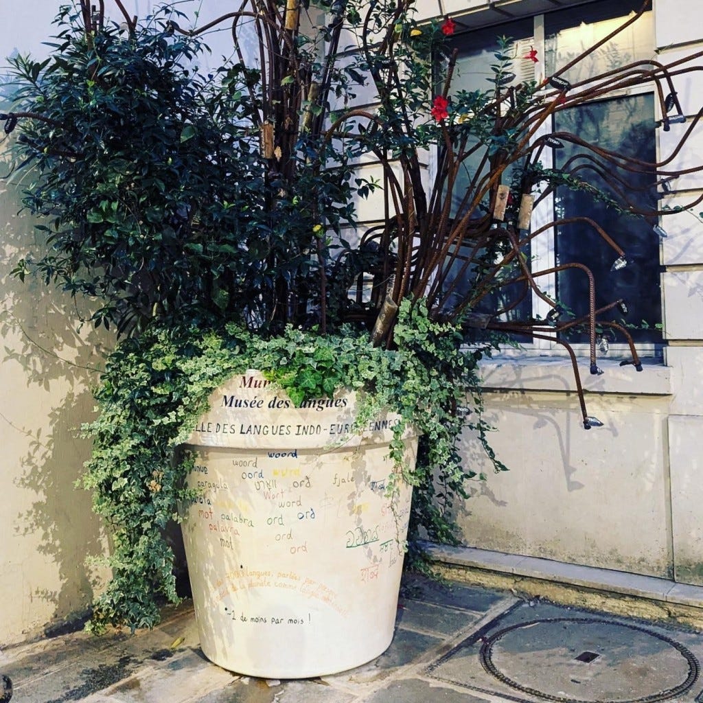
‪Gretchen McCulloch‬ ‪@gretchenmcc.bsky.social‬
·
3mo
Very brief visit to Paris in time to catch the exhibits at Mundolingua, a language and linguistics museum! 

Look at all these language family trees!

www.mundolingua.org

A large potted plant but there are metal rods coming out with labels of Indo European languages
ALT

Closeup on one rod, reading indo-aryennes
ALT

A model of a tree labelled Niger Congo, splitting off into Kofardian, Atlantic, Volta Congo (itself splitting to South, Bantoid, North) and then into names of languages on tiny leaves, too small to read
ALT

A model of a tree reading Malayo-Polynesian, splitting off into Formosan, Sulu Philippines, Nuclear Malayo-Polynesian, and subsequently into specific names of languages on leaves, too small to be legible
ALT




Home
Search
Notifications
Chat
Feeds
Lists
Profile
Settings

New Post
Following
Discover
Popular With Friends
More feeds
Feedback
·
Privacy
·
Terms
·
Help

A large potted plant but there are metal rods coming out with labels of Indo European languages