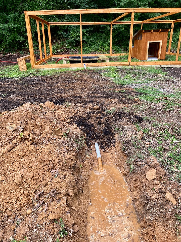 Mosaic of images showing trenches for water lines and ducks living in a coop.