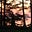 Tooncesthedrivingcat's avatar