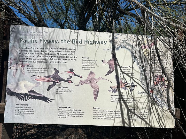 Along the Salton Sea