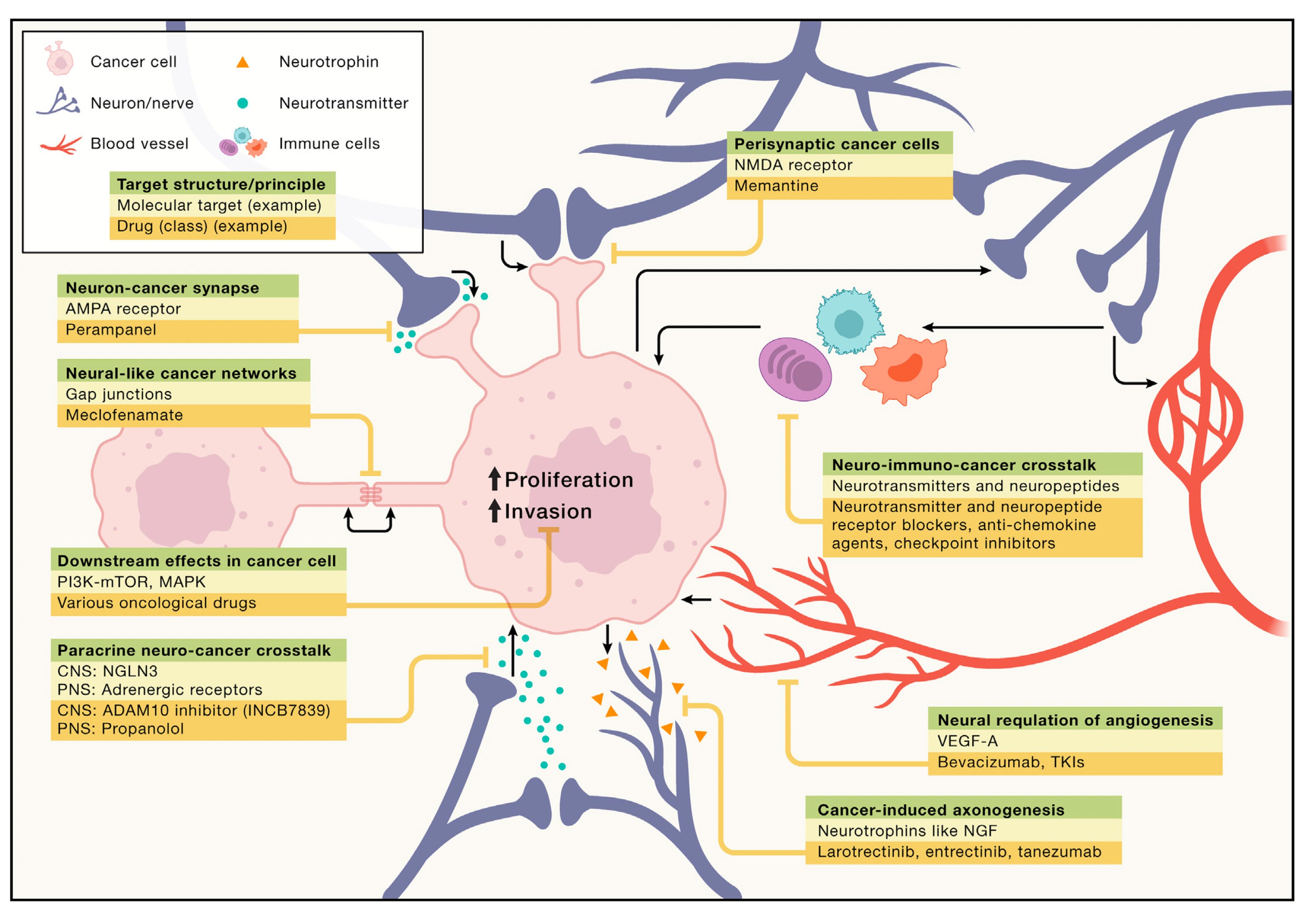 Dner Cancer Cancer and the Nervous System - by Eric Topol