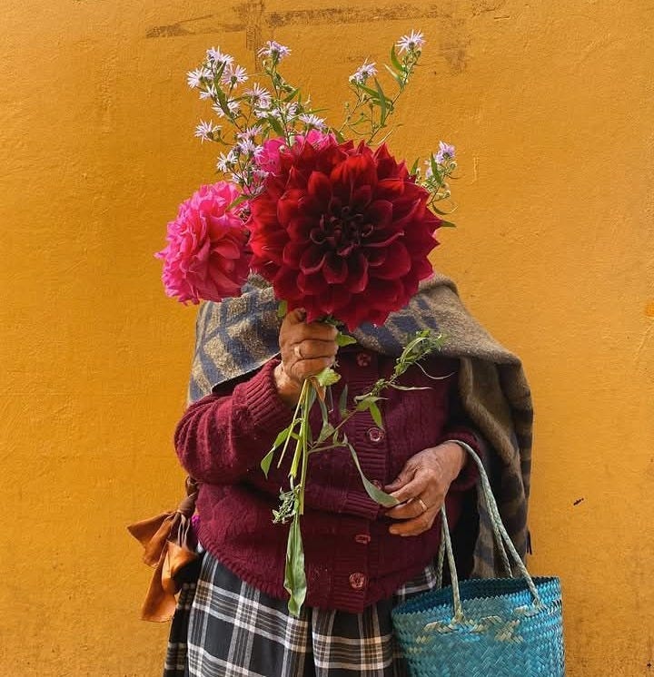 Imagen de Story Pin