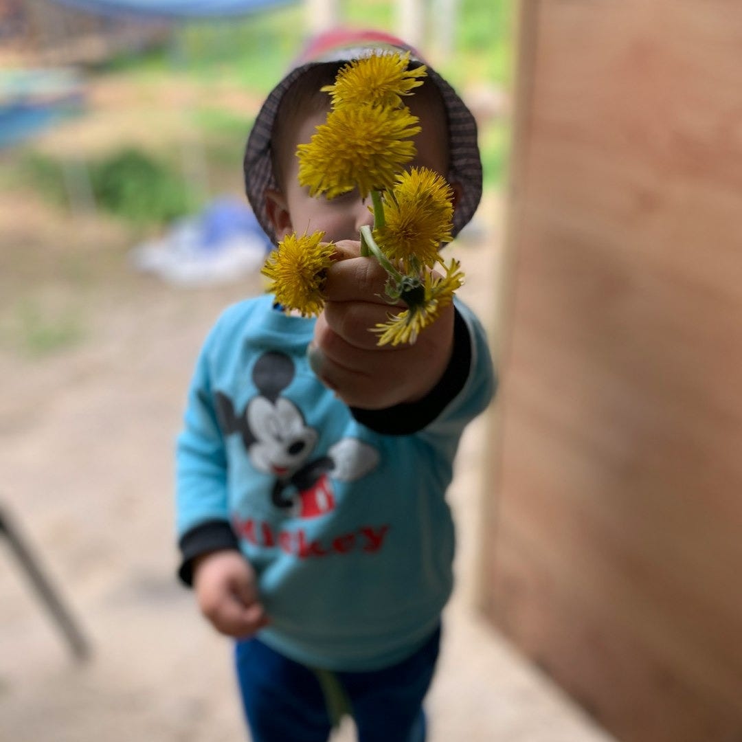a small child holding a yellow flower up to the camera