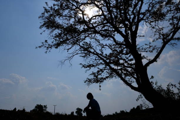 silhouette of people standing under a big tree People standing under a big tree silhouette of the man sitting under tree stock pictures, royalty-free photos & images