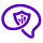 Unmoderated Insights
